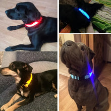 Load image into Gallery viewer, Pet Led Collar