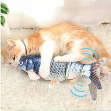 Load image into Gallery viewer, Electric Pet Toy
