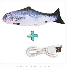 Load image into Gallery viewer, Electric Pet Toy
