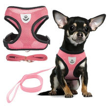 Load image into Gallery viewer, Pet Harness
