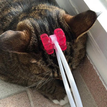 Load image into Gallery viewer, Pet Massager
