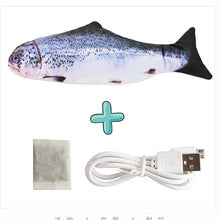 Load image into Gallery viewer, Electric Pet Toy
