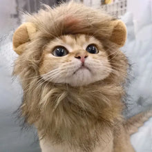 Load image into Gallery viewer, Lion Mane Cat Costume
