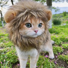 Load image into Gallery viewer, Lion Mane Cat Costume
