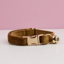 Load image into Gallery viewer, Velvet Cat Collar
