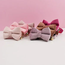 Load image into Gallery viewer, Velvet Cat Collar

