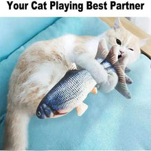 Load image into Gallery viewer, Electric Pet Toy
