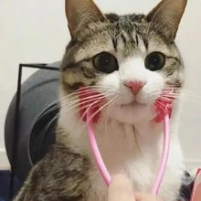 Load image into Gallery viewer, Pet Massager
